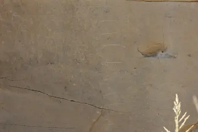 Battle Scene Petroglyphs 4