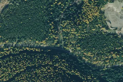 Caribou Campground