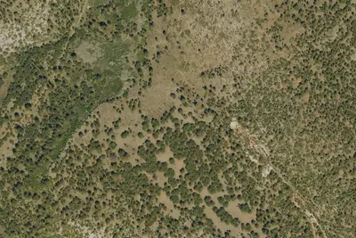Camp site