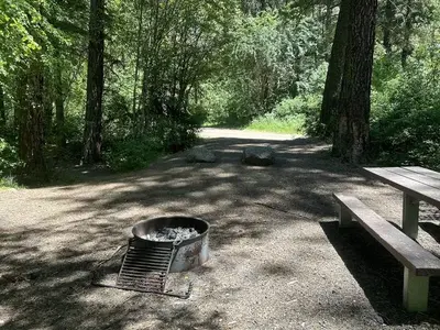 Forested campsite with picnic table and fire ring.