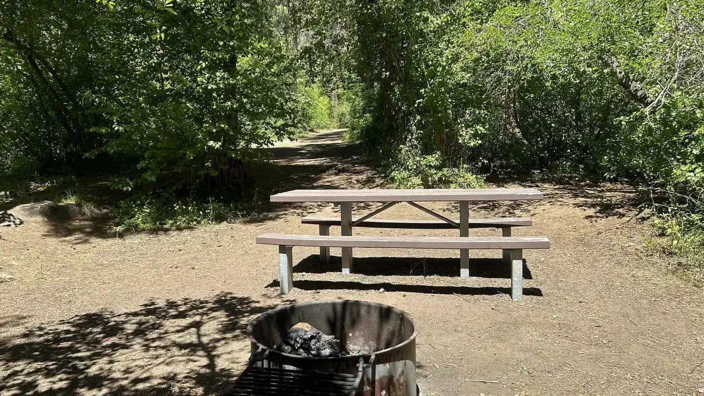 Site surrounded by brush and trees offering shade on a hot summer day.