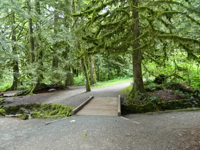 Entrance of Bridal Veil Fall Provincial Park - panoramio