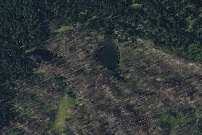 Luna Lake Camping Area