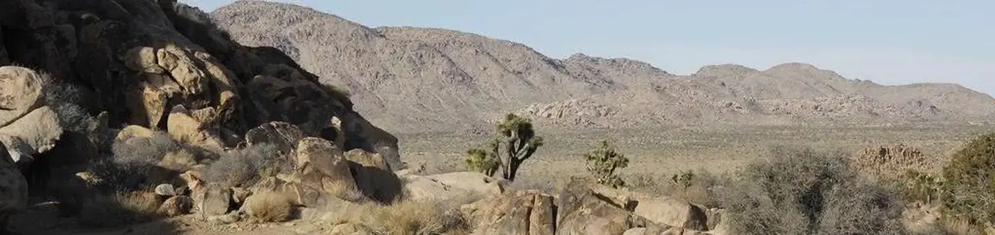 Sheep Pass Campground