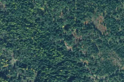 Rd 2745 Site 1