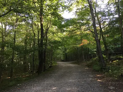 2017-09-11 09 02 24 View east along the CCC Road at about 1,840 feet above sea level on the western slopes of Mount Mansfield within Mount Mansfield State Forest in Underhill, Chittenden County, Vermont