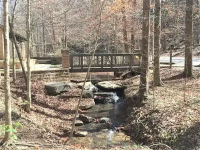 Burchfield Branch