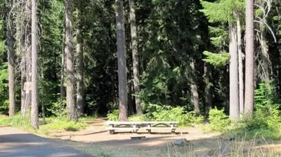 Atkisson Group camp