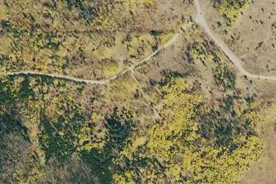 Camp site