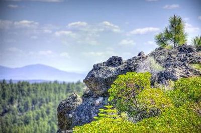 Driftwood Campground - Deschutes