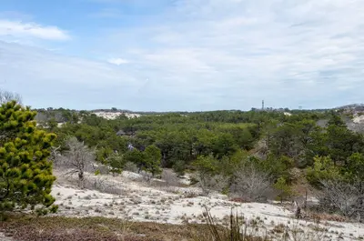 Cape Cod National Seashore near Race Point (14115542537)