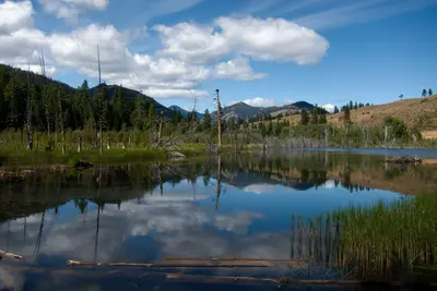 Beaver Lake