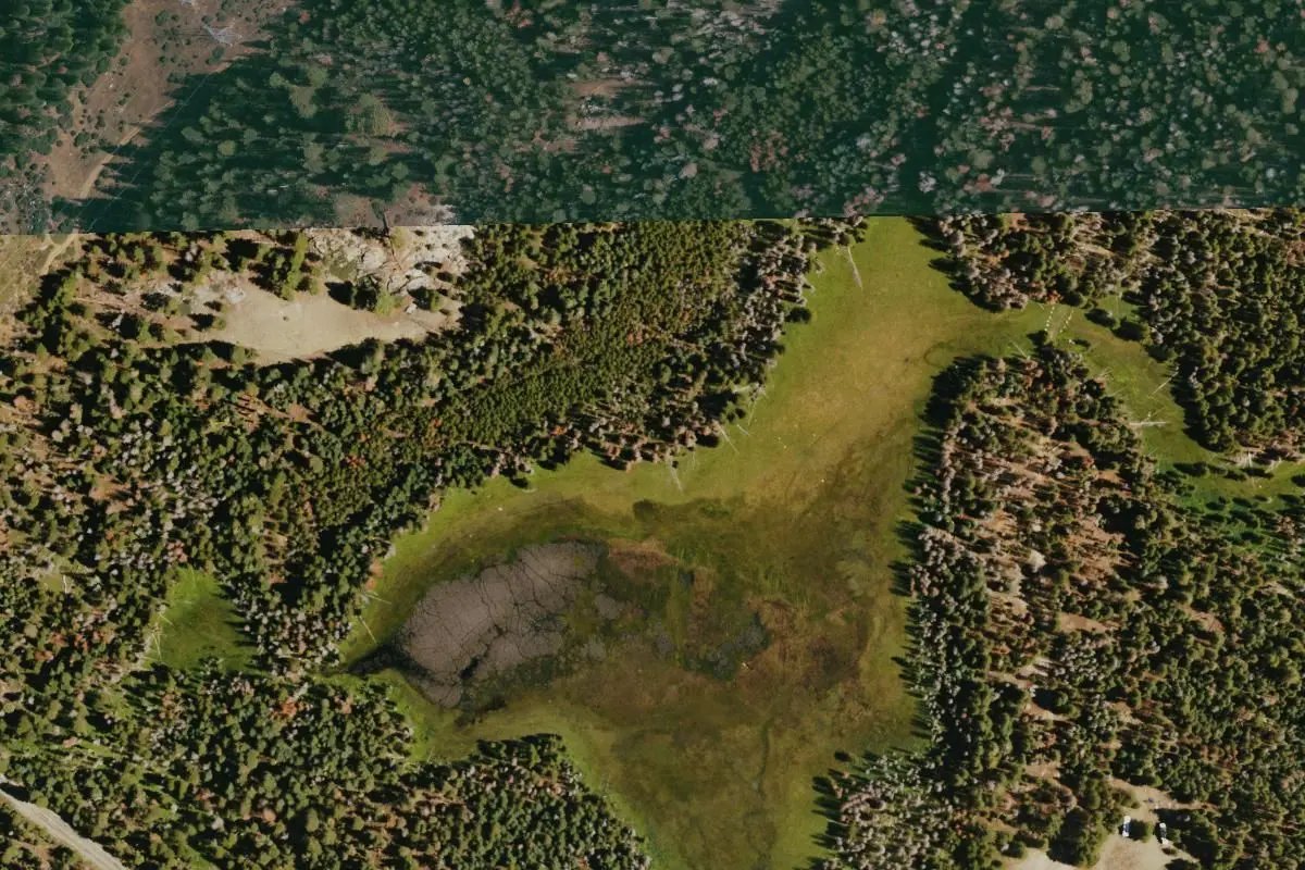 Aerial view