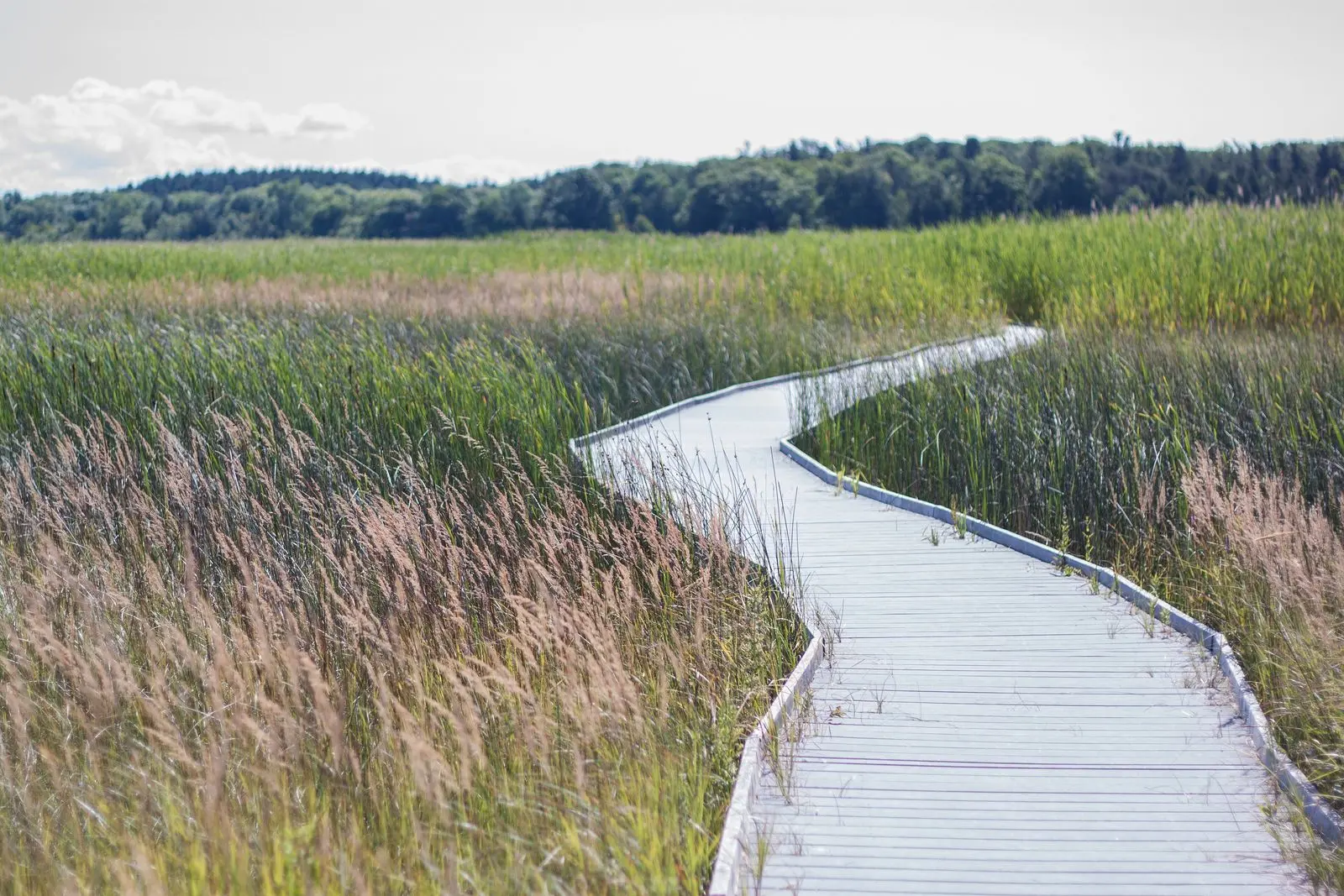 Photo of Presqu'Ile Provincial Park