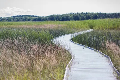 Presqu'ile Park - High Bluff Campground