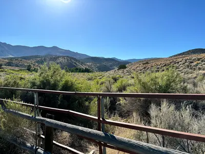Looking toward the High Schells Wilderness (54101954492)