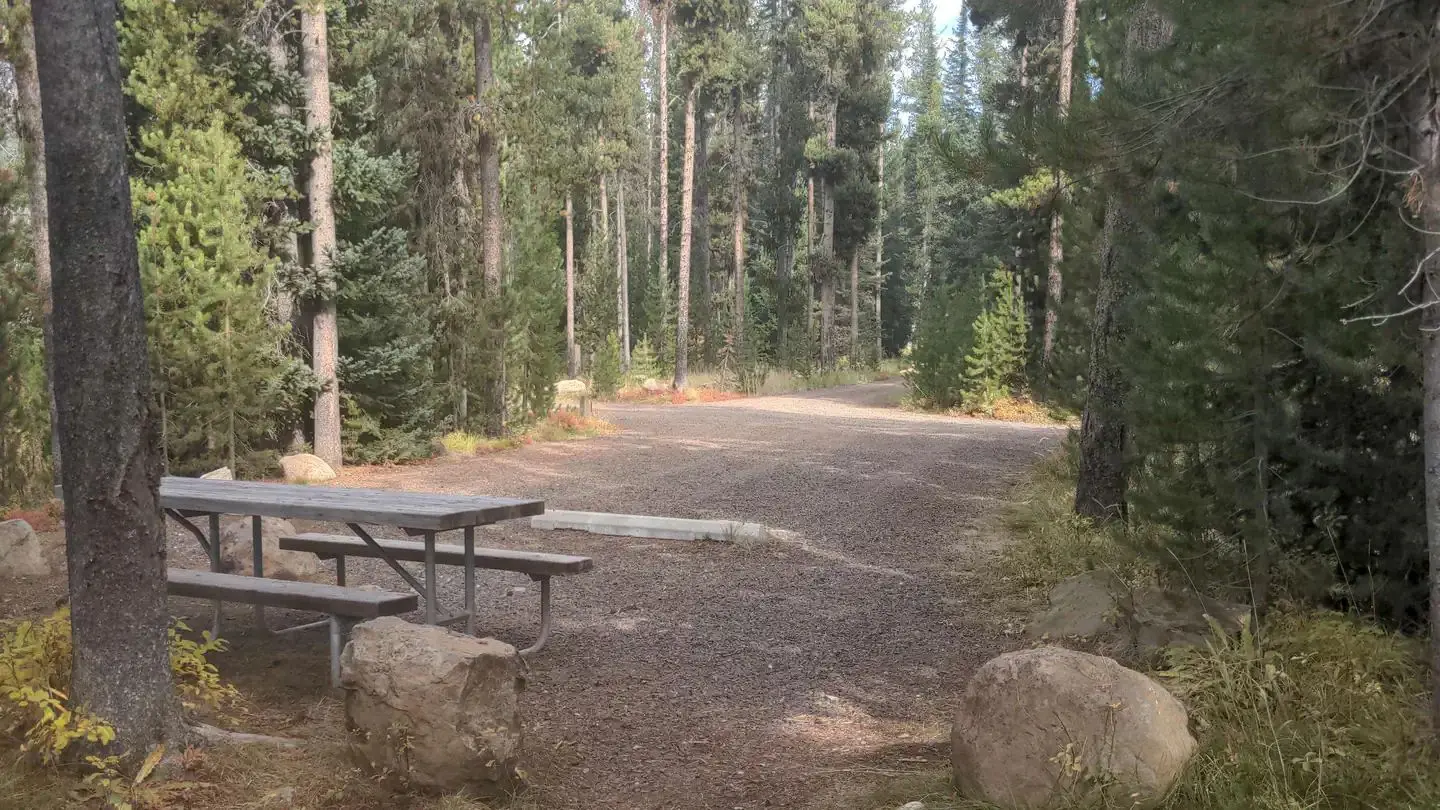 Picnic table and fire ring surrounded by forest.
