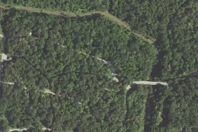 Campsite #111