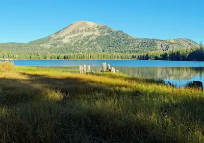 Morning in the Meadow, Lake Mary, CA 2016 (32750834010)