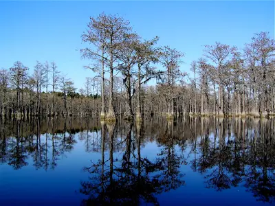 George L Smith GA SP - panoramio