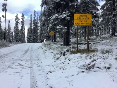 Signage that says "Entering Burned Area" provided by Burned Area Emergency funding was placed at the Granite Pass Complex on the Missoula Ranger District (51819238727)