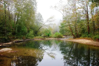Red River Gorge - Stream 2