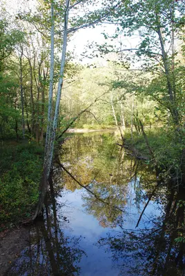 Red River Gorge - Stream 1