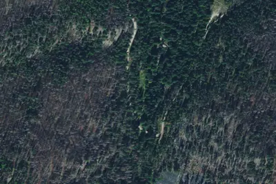 South Fk Lolo Creek Th