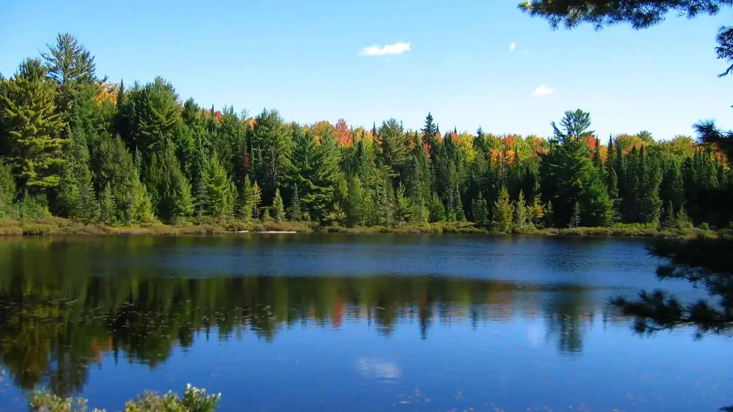 Lake Nineteen