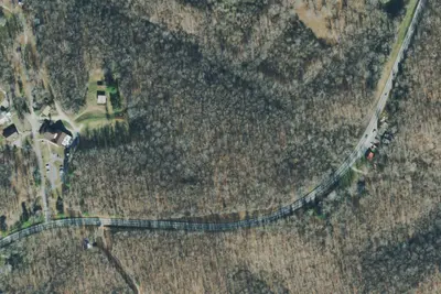 7 Trees