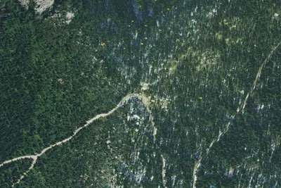 Fs Road 2667 (Roman Nose Access)