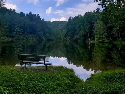 Lakeside Seat