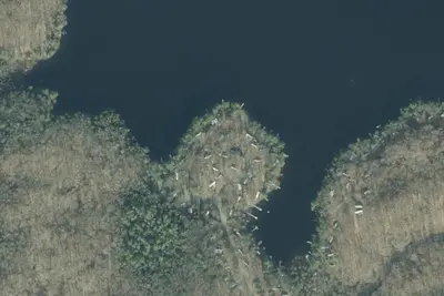 Camp site