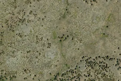 Camp site