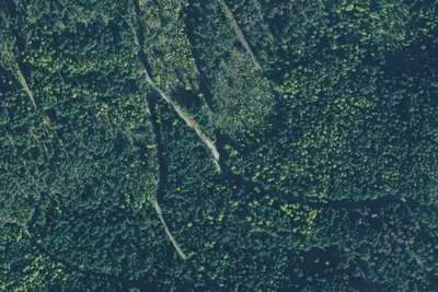 Rd 2253 Site 1