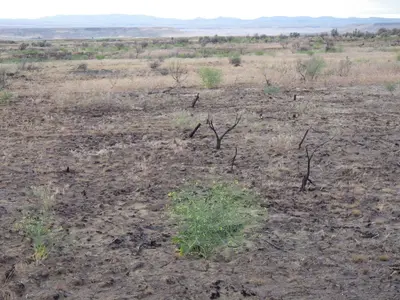Bliss sagebrush steppe (9726292208)