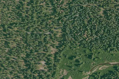 Cattle Camp Campground