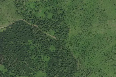 Camp site