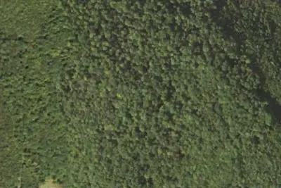 Camp site