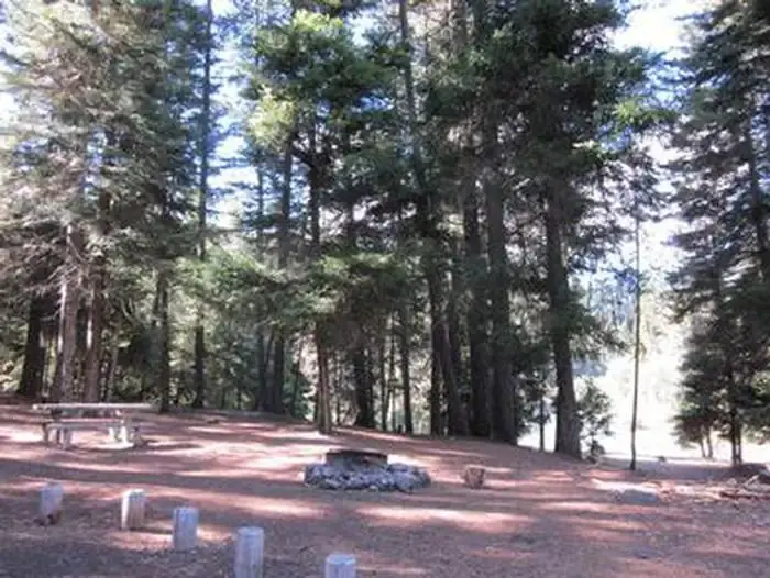 Fire ring in flat open area next to conifer trees.