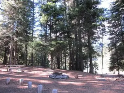 Fire ring in flat open area next to conifer trees.