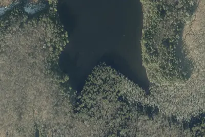 Camp site