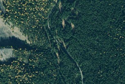 Pete Creek Meadow