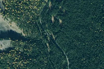 Pete Creek Meadow