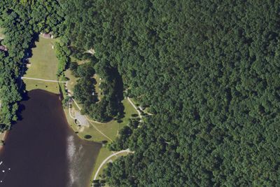 Site 8