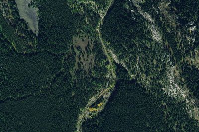 Camp site