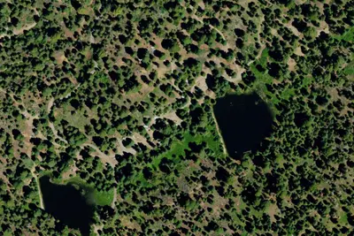 Camp site