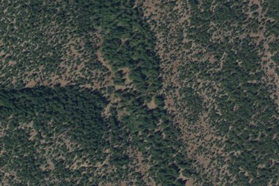 Canyon Creek Campground