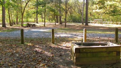 Cottonwood Patch Campground