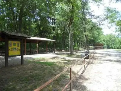 Cossatot Reefs